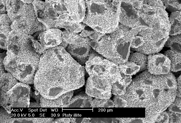 High quality SEM image - Pore lining illite