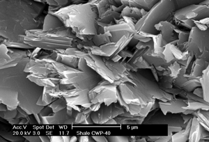 High quality SEM image - Old (over-mature) Shale