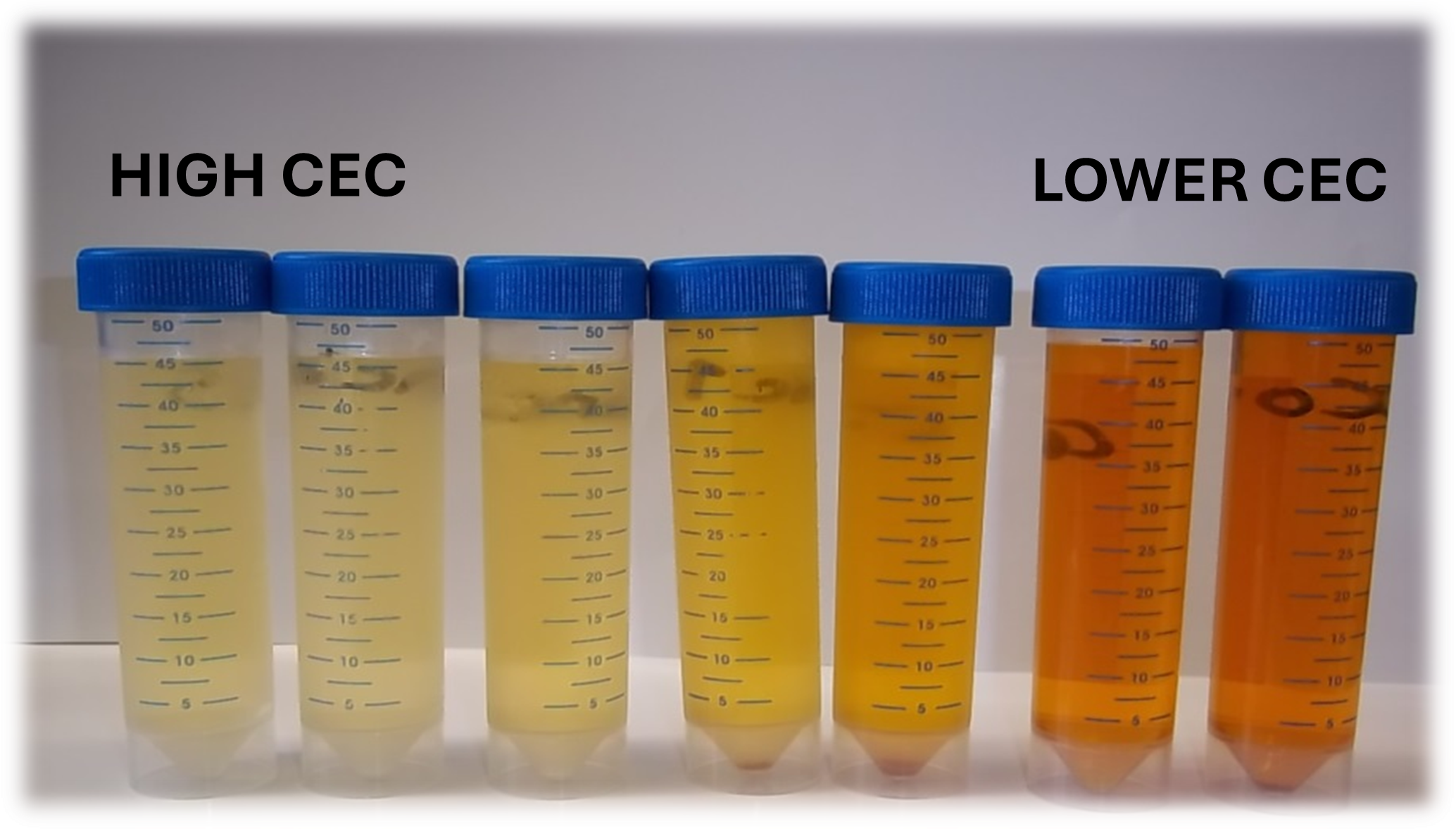 CEC tubes containing cobalt hexammine trichloride. Colour varies due CEC of sample in the tubes.